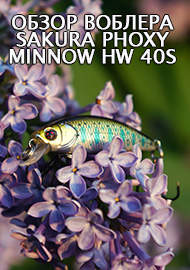 Обзор воблера Sakura Phoxy Minnow HW 40S