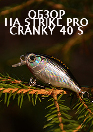 Тонущий кренк - Обзор на Strike Pro Cranky 40 S