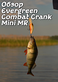 Обзор кренка -  Evergreen Combat Crank Mini MR