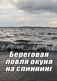 Статьи: Береговая ловля окуня на спиннинг