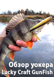 Обзор уокера Lucky Craft GunFish 95