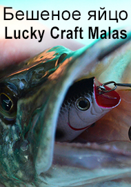 "Бешеное яйцо" Lucky Craft Malas. Обзор воблера