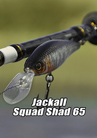 Обзор: Обзор воблера Jackall Squad Shad 65