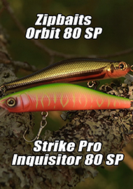 Обзор: Сравнительный обзор воблеров Strike Pro Inquisitor 80 SP и  Zipbaits Orbit 80 SP