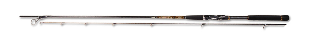 Спиннинг Daiwa Morethan Branzino AGS (1)