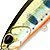 Воблер DUO Realis Jerkbait 120F (17,0г) N568