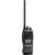 Icom IC-F3161T