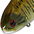 Воблер Lucky Craft LV 500 128 Small Mouth Bass