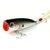 Воблер Lucky Craft Bevy Popper-077 Original Tennessee Shad