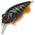 Воблер Megabass Baby Griffon 38F (5,3г) SR ShibT