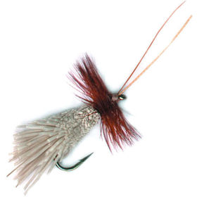 Мушка PFG Goddard Caddis №12 (D047)