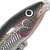 Воблер Rapala Shallow Tail Dancer TDD07 (9г) S