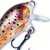 Воблер Rapala Mini Fat Rap MFR03 (4г) TR