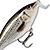 Воблер Rapala Shallow Shad Rap SSR05 (5г) ROL