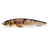 Воблер SALMO Minnow 70F, Вес 6,0 г, WOD