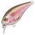 Воблер Spro Ikiru Naturals Mini Crank 38F (4г) RainbowTrout