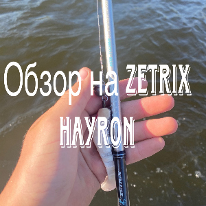 Zetrix Hayron  702MH - лучший универсал.