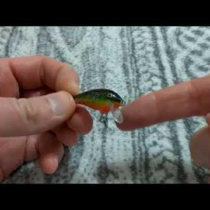 Видеообзор воблера Rapala Mini Fat Rap по заказу Fmagazin.