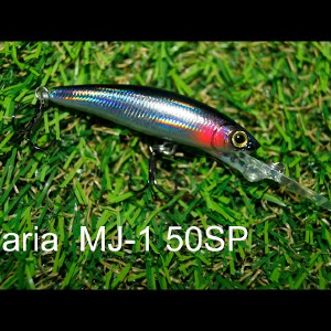 Обзор воблера Maria MJ-1 Minnow DD 50SP по заказ Fmagazin.