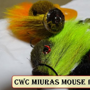 Unboxing Бактейлов CWC MIURAS MOUSE BIG & Mini от Fmagazin