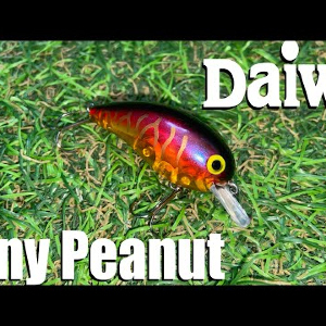 Обзор воблера Daiwa Tiny Peanut SR по заказу Fmagaz