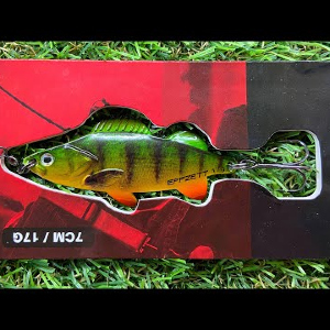 Обзор блесны DAM Effzett Perch Spoon по заказу Fmagazin