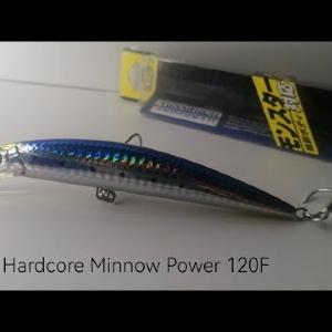 Unboxing Воблера Duel Hardcore Minnow Power (120F) по заказу Fmagazin.