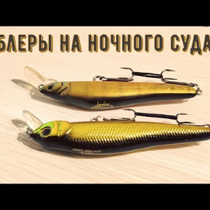 Обзор на воблеры Bassday Jerkbait NJ-85 и Molix Jubar Smart 85 для Fmagazin.ru